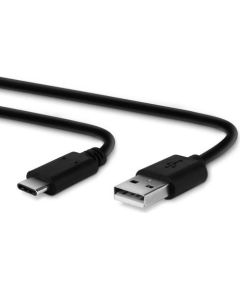 Ricoh cable I-USB173 (30275)
