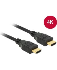 Delock Cable High Speed HDMI with Ethernet HDMI A male > HDMI A male 4K 2m