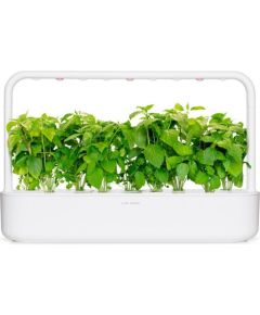 Click & Grow Smart Garden refill Cinnamon Basil 3pcs