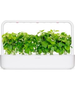 Click & Grow Smart Garden uzpilde Kanēļa baziliks 3gb.