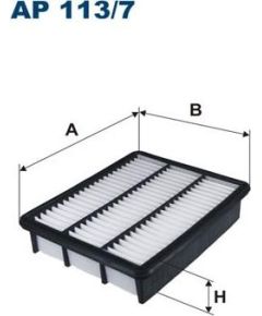 Filtron Gaisa filtrs AP113/7