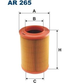Filtron Gaisa filtrs AR265
