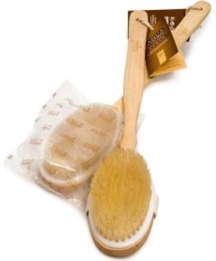 Muguras birste koka Fit Brush (12) Telpu tīrīšanas un uzkopšanas piederumi