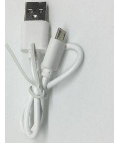 Evelatus Data cable Micro USB 30CM Blister  White