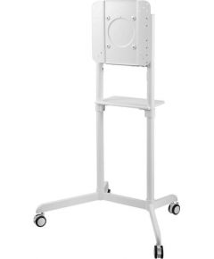 TV SET ACC FLOOR STAND/37-70" NS-M1250WHITE NEWSTAR