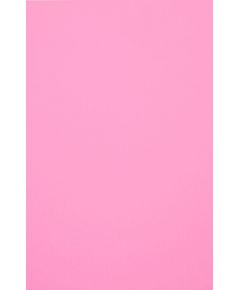 Evelatus  Universal Color Shinning Film for Screen Cutter Light Pink