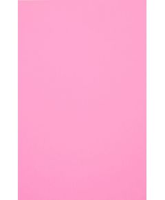 Evelatus  Universal Color Shinning Film for Screen Cutter Light Pink