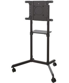 TV SET ACC FLOOR STAND/37-70" NS-M1250BLACK NEWSTAR