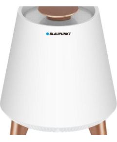 Blaupunkt BT25LAMP