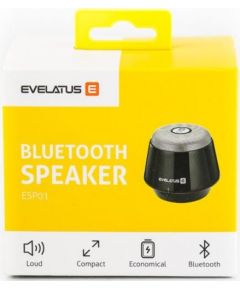 Evelatus Bluetooth Speaker ESP01  Silver