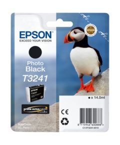 Epson T3241 Ink Cartridge, Photo Black