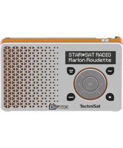 Technisat DigitRadio 1 silver/orange