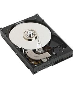 Dell 1 TB 3.5" SATA III (400-AUPW)