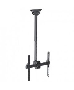 TECHLY 309333 Techly Ceiling mount for T