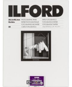 1x 50 Ilford MG RC DL 44M  30x40