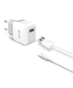 Type-C Travel Adapter By Celly White