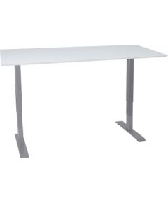 Desk ERGO 2 160x80cm white grey