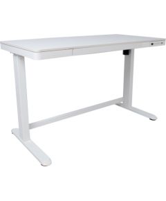 Desk ERGO adjustable with 1-motor, white