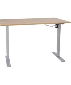 Desk ERGO 1 160x80cm hickory