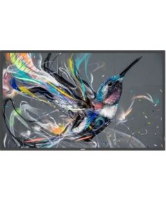 Philips 32" Q-Line; 18/7, FHD, basic failover, USB auto play, CMND &Control, Smart Player, LAN / 32BDL3510Q/00 Industriālie monitori IPS / DSP / Public / Info Displays