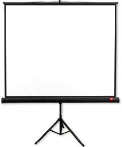 Avtek Tripod PRO 180 (projection area 175x175cm; 1:1; Matt-White; black borders) / 1EVT13