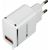 CANYON H-043 Universal 1xUSB AC charger (in wall) with over-voltage protection, plus lightning USB connector, Input 100V-240V, Output 5V-2.1A, with Smart IC, white(silver electroplated stripe), cable length 1m, 81*47.2*27mm, 0.059kg