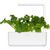 Click & Grow Smart Refill Wasabi Mustard 3pcs