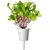Click & Grow Smart Refill Leaf Radish 3pcs
