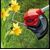 Einhell GC-CT 18/24 24 cm Battery Black, Red