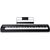 M-AUDIO Hammer 88 Pro MIDI keyboard 88 keys USB Black