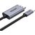 UNITEK V1409A cable gender changer USB-C DisplayPort Black, Grey