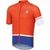 Odlo M Stand-Up Collar Short Sleeve Jersey / Zila / M