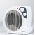 Ravanson FH-101 Indoor White 2000W