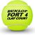 Tennis balls Dunlop FORT CLAY COURT SuperPremium 4-tin ITF