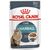 Royal Canin Hairball Care in Gravy cats moist food 85 g