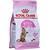 Royal Canin 3182550805155 cats dry food Adult Fish,Vegetable 400 g