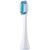 Panasonic Sonic Electric Toothbrush EW-DC12-W503 Rechargeable, For adults, Number of brush heads included 1, Number of teeth brushing modes 3, Sonic technology, Golden White