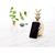 iKins SmartPhone case iPhone 11 Pro milky way black