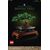 LEGO Creator Expert Bonsai Baum Bonsai kociņš 10281