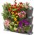 Gardena NatureUp! Basic Set Vertical - 13150-20