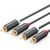 UGREEN 2RCA (Cinch) to 2RCA (Cinch) Cable 2m (black)