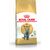 Royal Canin British Shorthair karma sucha dla kotów dorosłych rasy brytyjski krótkowłosy 2kg