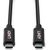 Lindy USB 3.2 Gen 2 active cable, USB-C plug > USB-C plug (black, 3 meters, PD, charging with up to 60 watts)