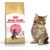 Royal Canin Maine Coon Kitten karma sucha dla kociąt, do 15 miesiąca, rasy maine coon 0.4kg
