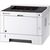 Kyocera ECOSYS P2040dw, laser printer (grey/black, USB, LAN, WLAN)