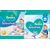 Pampers 81666485 disposable diaper Boy/Girl 4-5 11 pc(s)