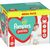 Pampers Pants Boy/Girl 7 74 pc(s)