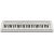Casio CT-S1 Digital synthesizer 61 White