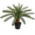 Искусственное растение CYCAS H70см, чёрный горшок