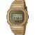 Casio G-SHOCK ORIGINAL DWE-5600HG-1ER CARBON CORE GUARD GOLD CHAIN